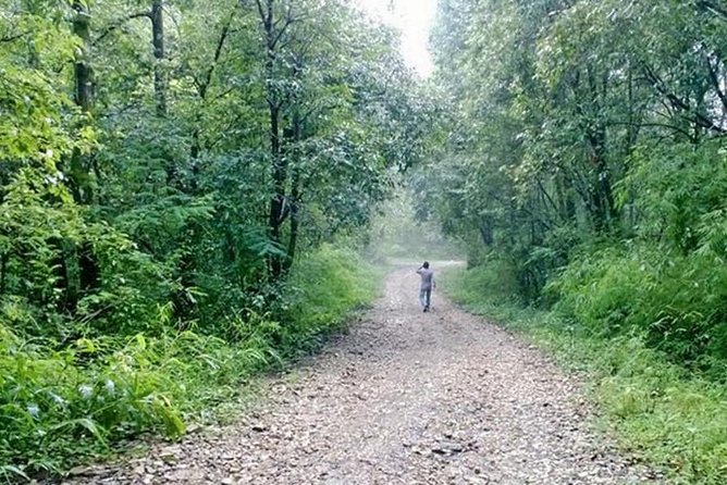 Phulchoki Bird-Watching Tour - Bird Species to Discover