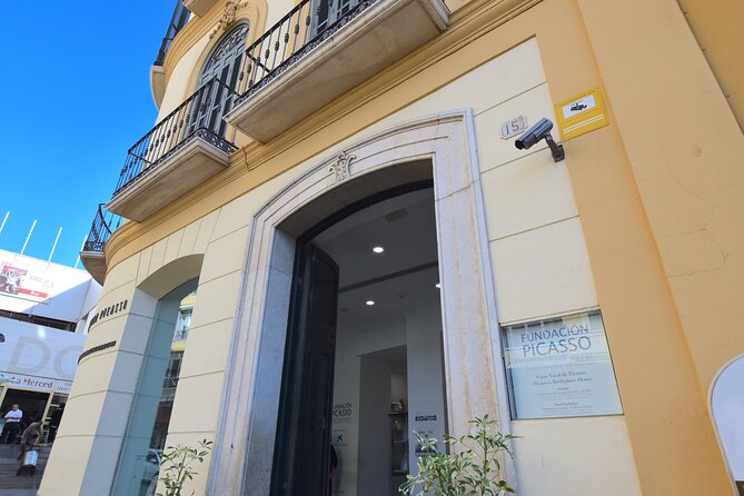 Picasso Museum and Birthplace Museum Private Tour - Guide Performance