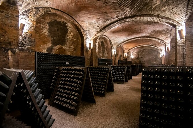 Piemonte Vineyards by Yourself From Turin by Luxury Van With English Chauffeur - Accessibility Information