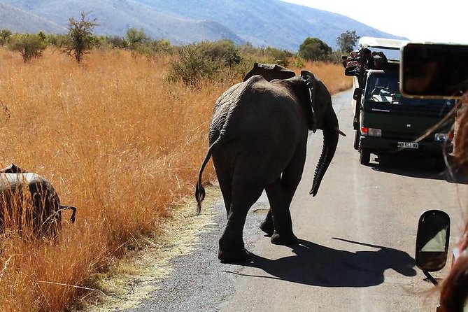 Pilanesberg National Park Full Day Safari From Johannesburg - Pickup and Cancellation Details