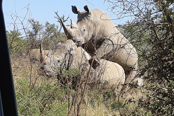 Pilanesberg National Park Full-Day Tour From Johannesburg - Participant Details