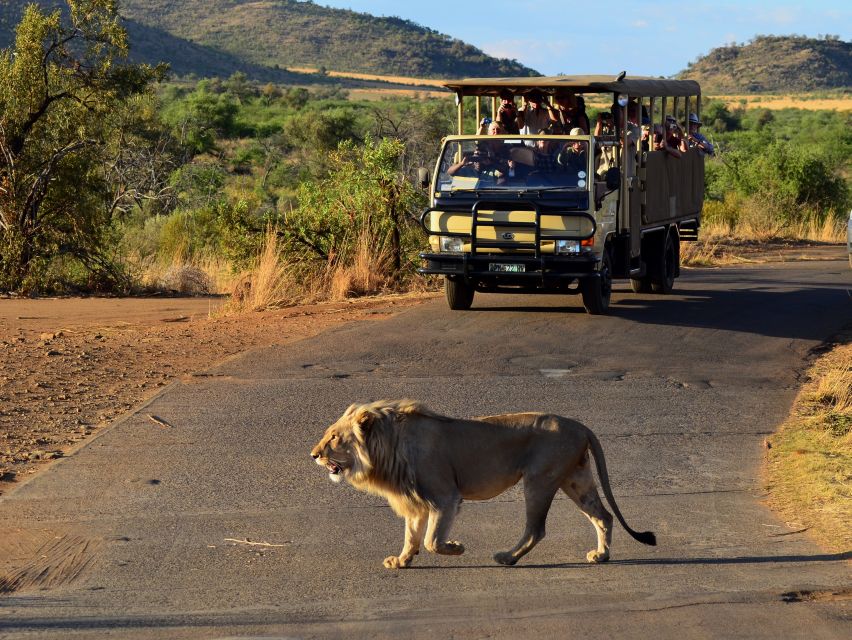 Pilanesberg National Park/Sun City Hot Air Balloon Safari - Guest Reviews