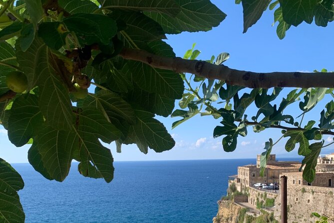 Pizzo Walking Tour, the Jewel of the Tyrrhenean Sea - Umberto I and His Legacy