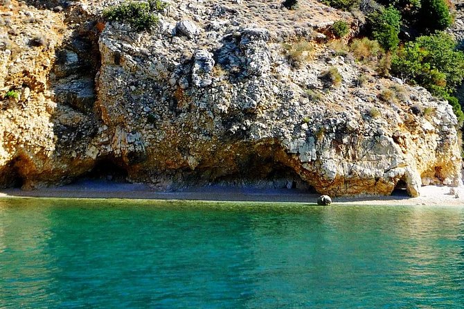 Plavnik Island & Wild Bays Full-Day Boat Trip With Capt. Bobo - Pricing and Booking Information
