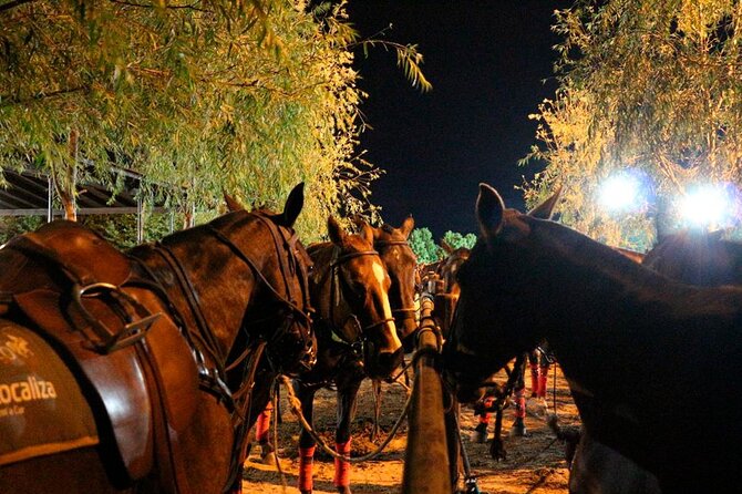Polo Night Experience With Argentine Asado in Buenos Aires - Convenient Meeting and Pickup