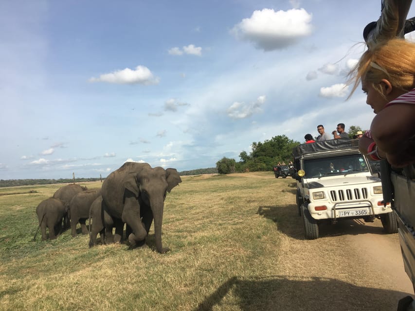 Polonnaruwa Sight Seeing Tour and Minneriya Elephant Safari - Polonnaruwa Ancient City