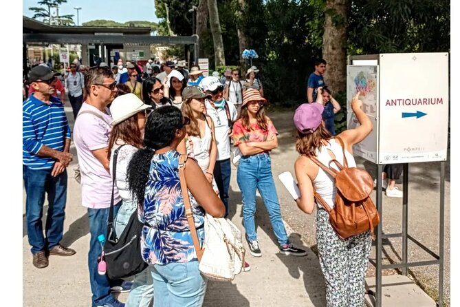 Pompeii 2 Hours Private Guided Tour, a JOURNEY THROUGH the TIME - Tour Accessibility and Participation
