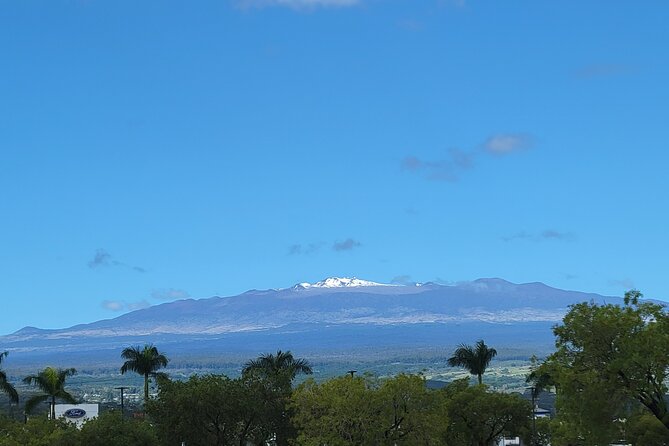 Port of Hilo to Volcano Tour - Customer Feedback and Experiences