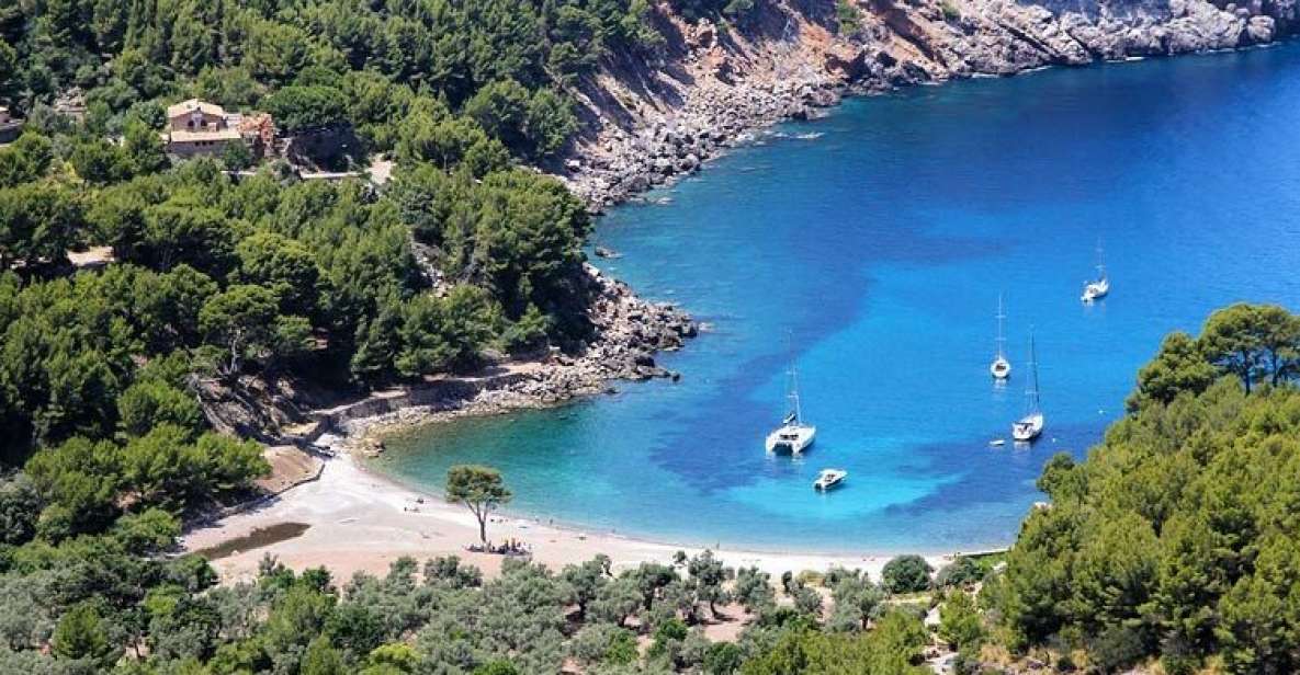 Port of Soller: Cala Tuent Return Boat Trip - Explore Cala Tuent