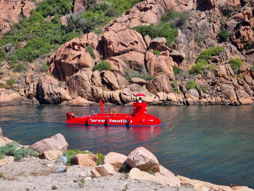 Porto : Discovery of the Marine Fauna and Flora/Bay of Porto - Meeting Point and Departure