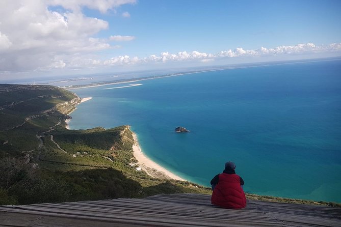 Portugal Wine, Nature, and History Culture Tour From Lisbon  - Sintra - What To Expect