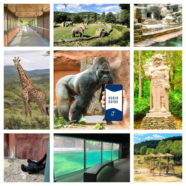 Prague Zoo Online Audio Guide (No Ticket) - Audio Guide Features