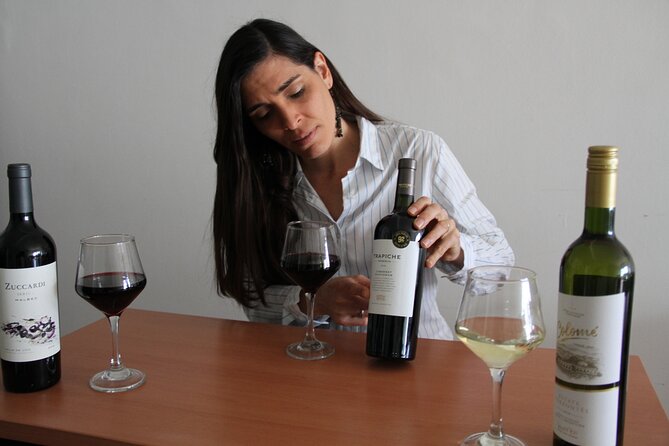 Premium Argentinian Wines and Malbec Tasting & Urban Art Tour - Traditional Tapas-style "Picada" Pairings