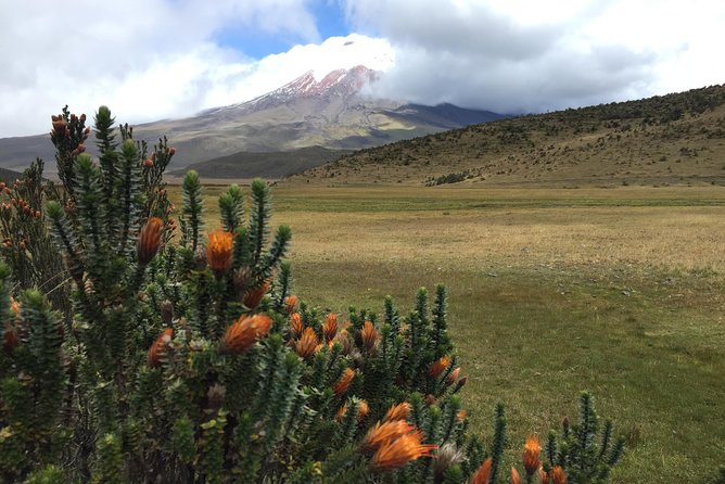 Premium Cotopaxi Full Day Tour - Itinerary