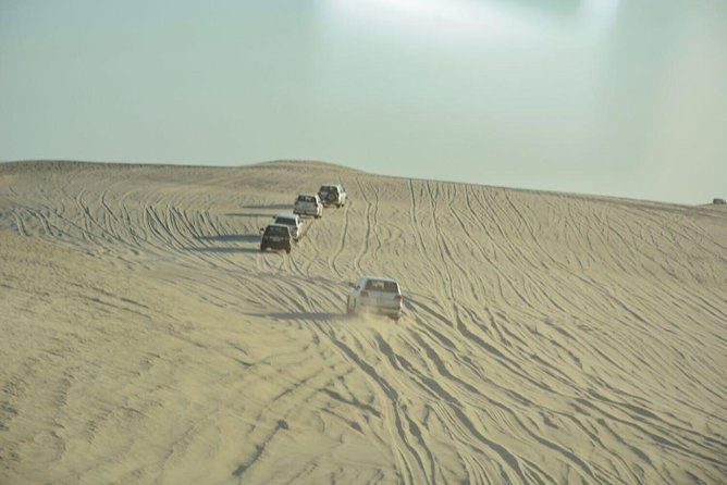 Premium Full-Day Safari, Dune Bash, Camel Ride and BBQ Meal in Desert Camp - Inclusions and Services