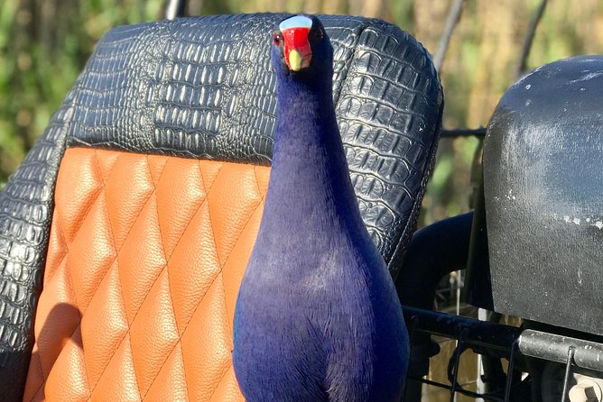 Private 1.5-Hour Airboat Tour of Miami Everglades - Booking Information