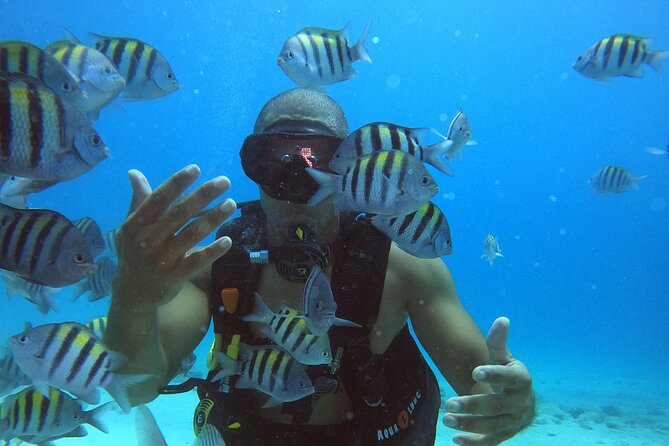 Private 2-Hour Diving Experience With Instructor - Reviews and Ratings