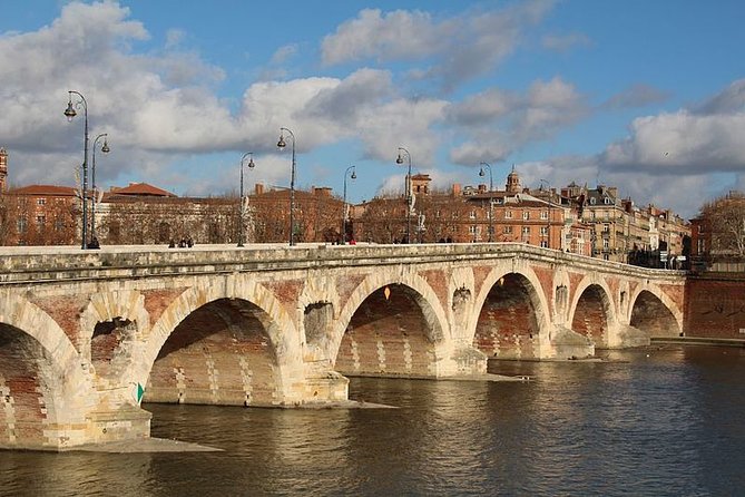 Private 3-Hour Walking Tour of Toulouse With Official Tour Guide - Accessibility Features