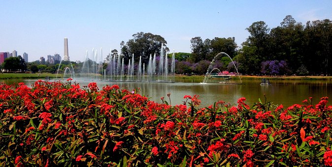 Private 6-Hour City Tour of São Paulo - Booking Information