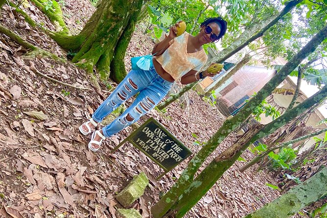 Private Aburi Hill Guided Tour - Health and Accessibility