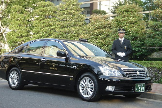Private Airport Transfer From Cairo or Giza to Cairo Airport - Pickup and Drop-off Details