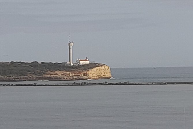 Private Algarve Coast Tour From Lagos By Van - Accessibility