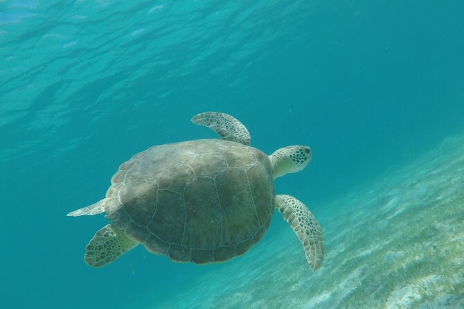 Private All Inclusive Day Trip on 60 Sailing Yacht W/ Snorkeling - Meeting and Pickup Details