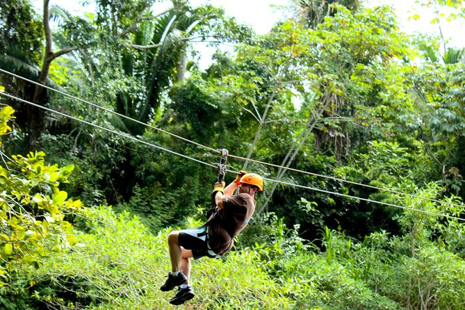 Private Altun Ha Maya Ruin & Zip Line Adventure From Belize City - Zipline Platforms and Runs
