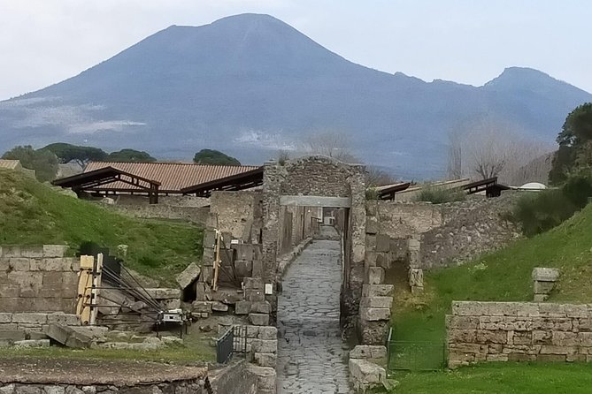 Private Archaeologist Service to Explore Pompeiis Secrets Any Time Ticket Incl. - Accessibility and Participation