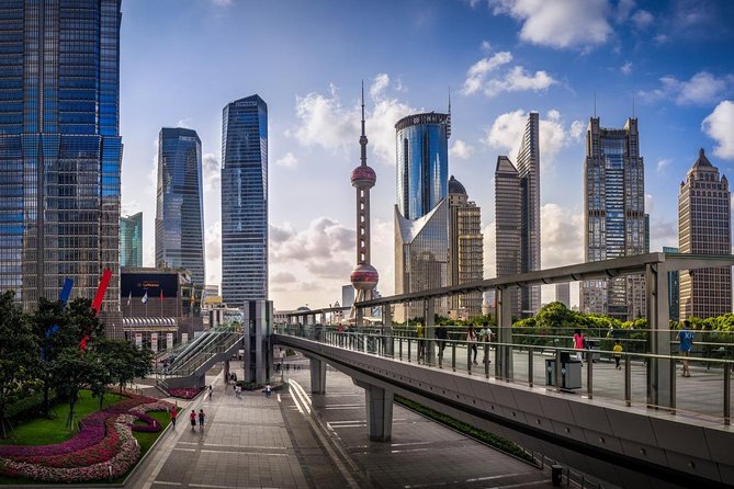 Private Arrival Transfer From Pudong Airport to Shanghai City Hotel - Accessibility Features