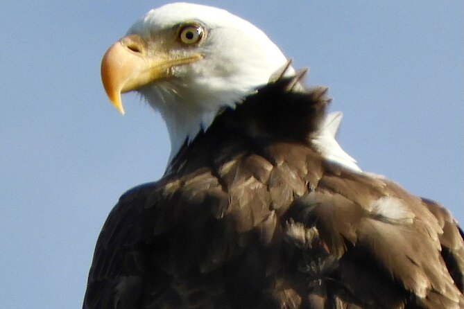 Private Birding Hike in Rocky Mountain National Park - Pricing and Group Information