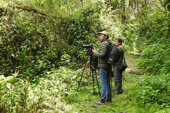 Private Birding Tour in Mindo Cloud-Forest + Middle of the World - Inclusions and Exclusions