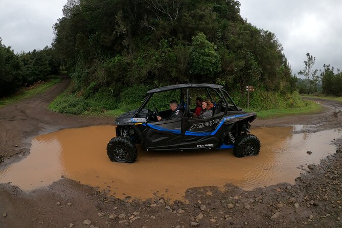 Private Buggy Off-Road Tour - Traveler Feedback