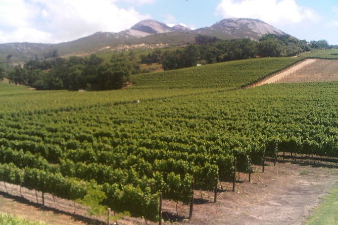Private Cape Winelands From Stellenbosch or Franschhoek or Paarl - Accessibility Features