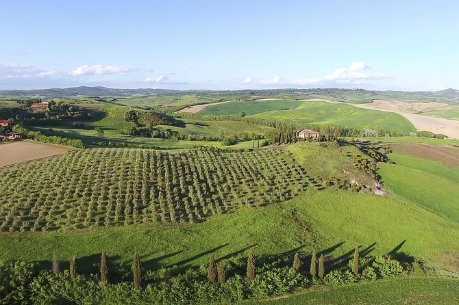 Private Chianti Classico Tour With Wine and Food Tasting in a Historic Estate - Wine Tasting Experience