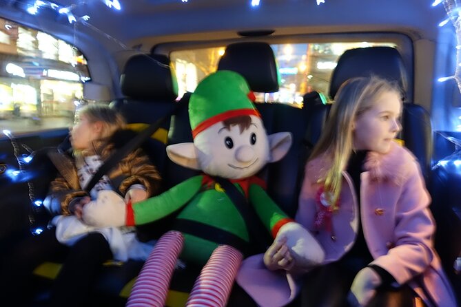 Private Christmas Lights Taxi Tour With Pick up - Professional Driver Expertise