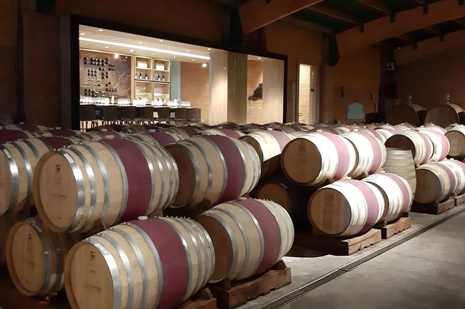 Private Colchagua Valley Wine Tour All Inclusive From Santiago - Explore Colchagua Valley From Santiago