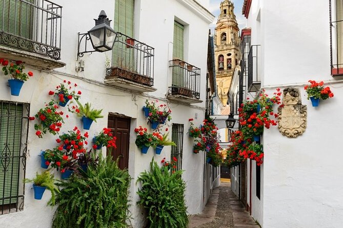 Private Cordoba & Seville Tour With a Finale Horse Carriage Ride - Accessibility Features