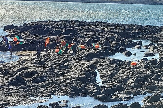Private Day Jumbo Taxi Tour Experienced Driver in Jeju Island - Driver Qualifications and Experience