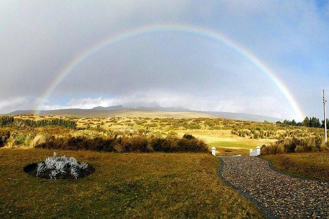 Private Day Tour: Antisana Volcano, Nature, Birds & Condors Watching - Pricing and Inclusions