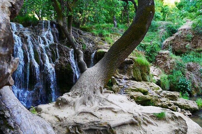 Private Day Tour From Fez to the Middle Atlas - Pickup and Confirmation Details