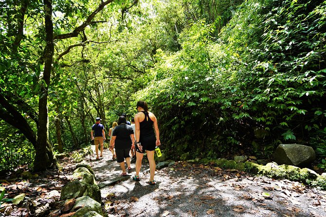 Private Day Tour to Mindo - Waterfalls & Hummingbirds - Chocolate Factory Visit