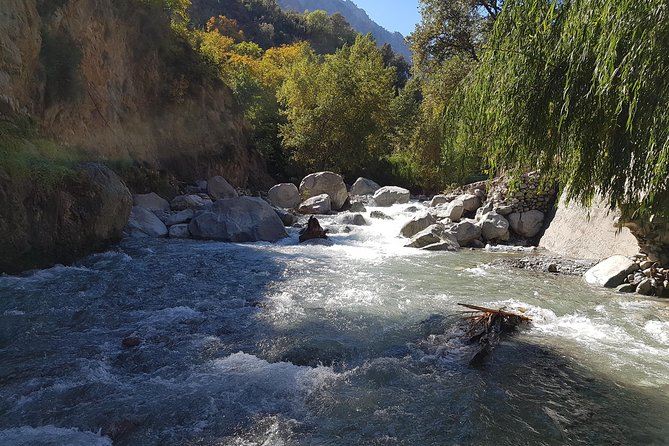 Private Day Tour to Ourika Valley Including Guided Hike and Lunch From Marrakech - Berber Womens Argan Oil