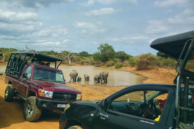 Private Day Tour: Yala National Park Safari Tour From Galle & Weligama - Itinerary Details