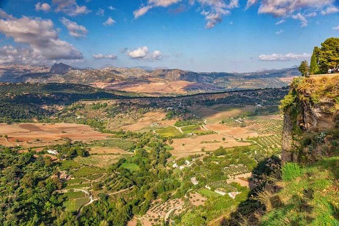 Private Day Trip to Ronda From Marbella - Customer Reviews and Ratings