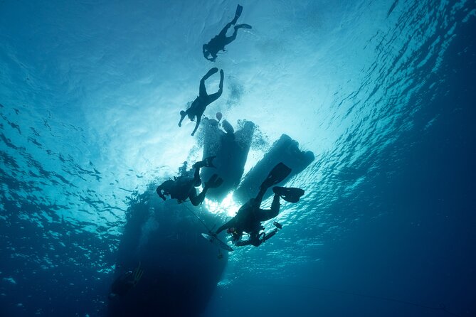 Private Discovery Scuba Diving With Sea Turtles - Diving Equipment and Safety Protocols