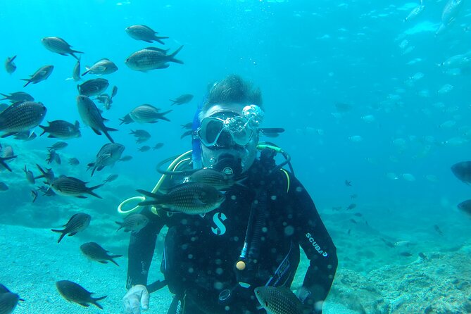 Private Diving Cyprus Experience Protaras and Ayia Napa & Turtles - Overview of the Experience