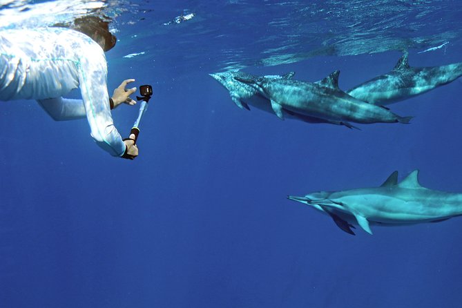 Private Dolphin Swim With Slide for up to 15 Passengers - Included Amenities