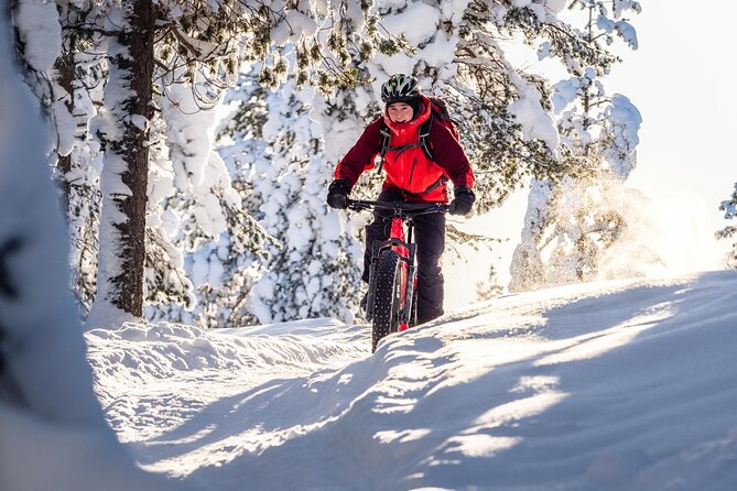 Private Electric Fat Bike Winter Tour in Rovaniemi - Cancellation Policy
