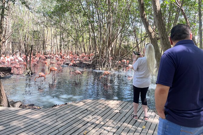 Private Experience at the National Aviary of Colombia - About the Local Provider